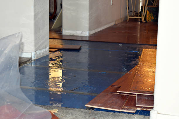 Professional Water Damage Restoration technician working in Delta, UT